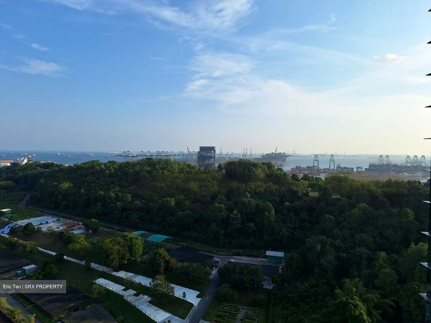 Normanton Park (D5), Apartment #486032501